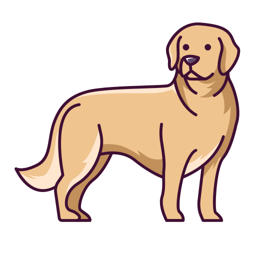 Large dog