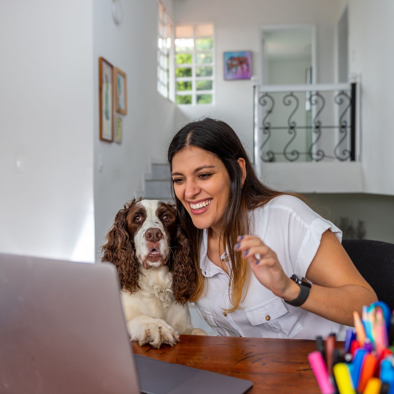 Petfluencer Program