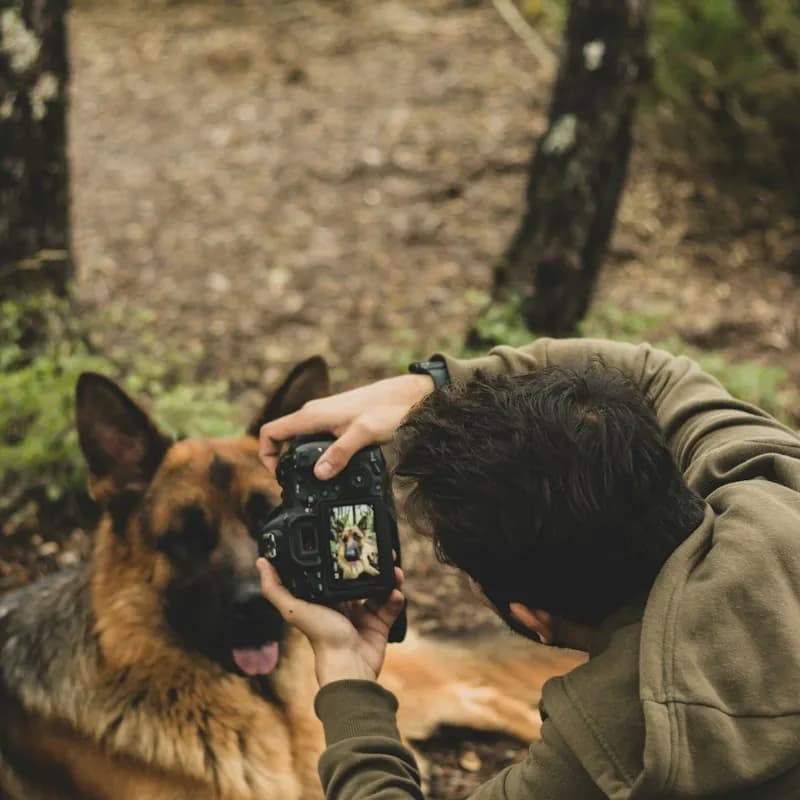 Pet photography