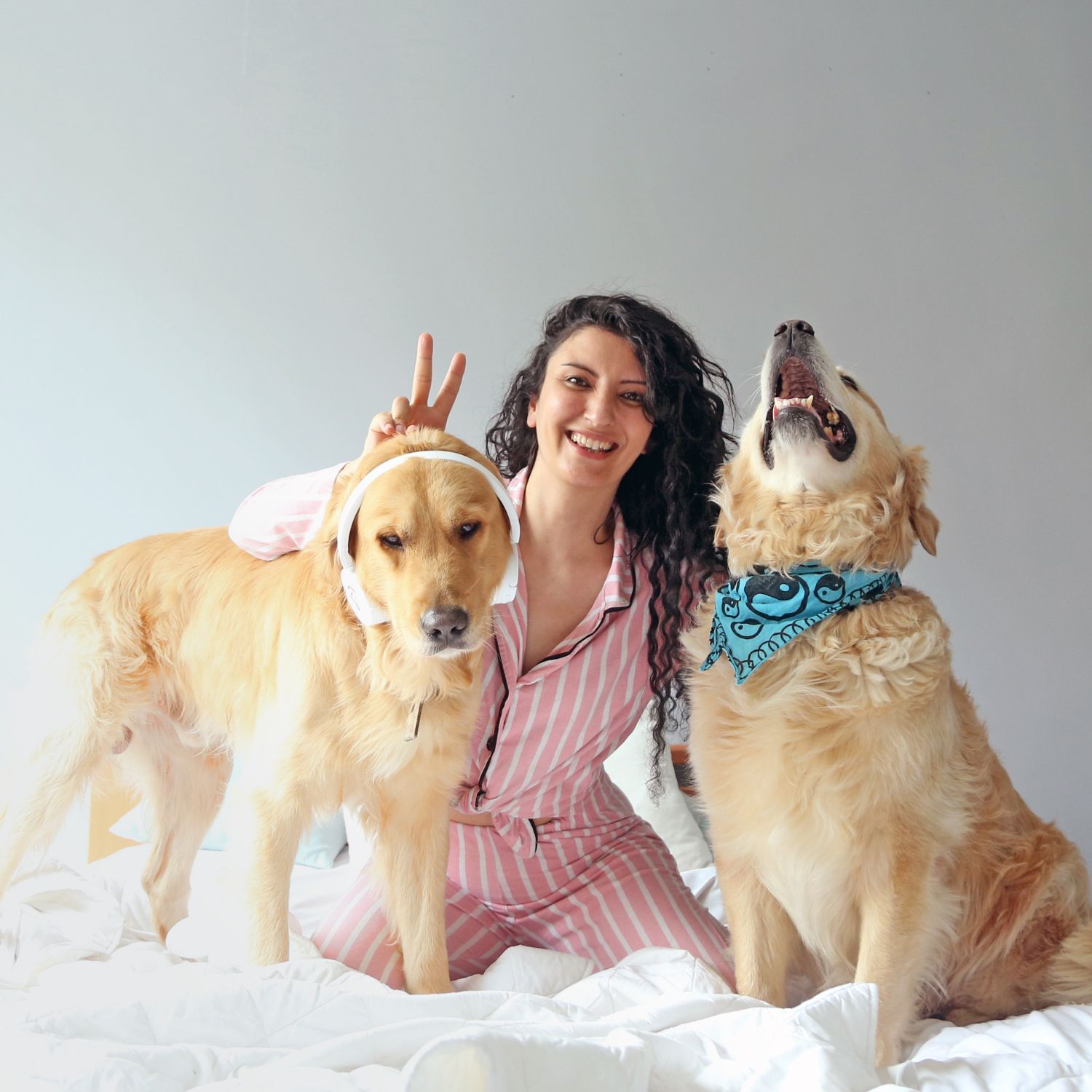 Tierbetreuer verfügbar in Aachen - Die Kaiserstadt im Dreiländereck. Finde Gassi-Service, Tierpension und Hausbetreuung.