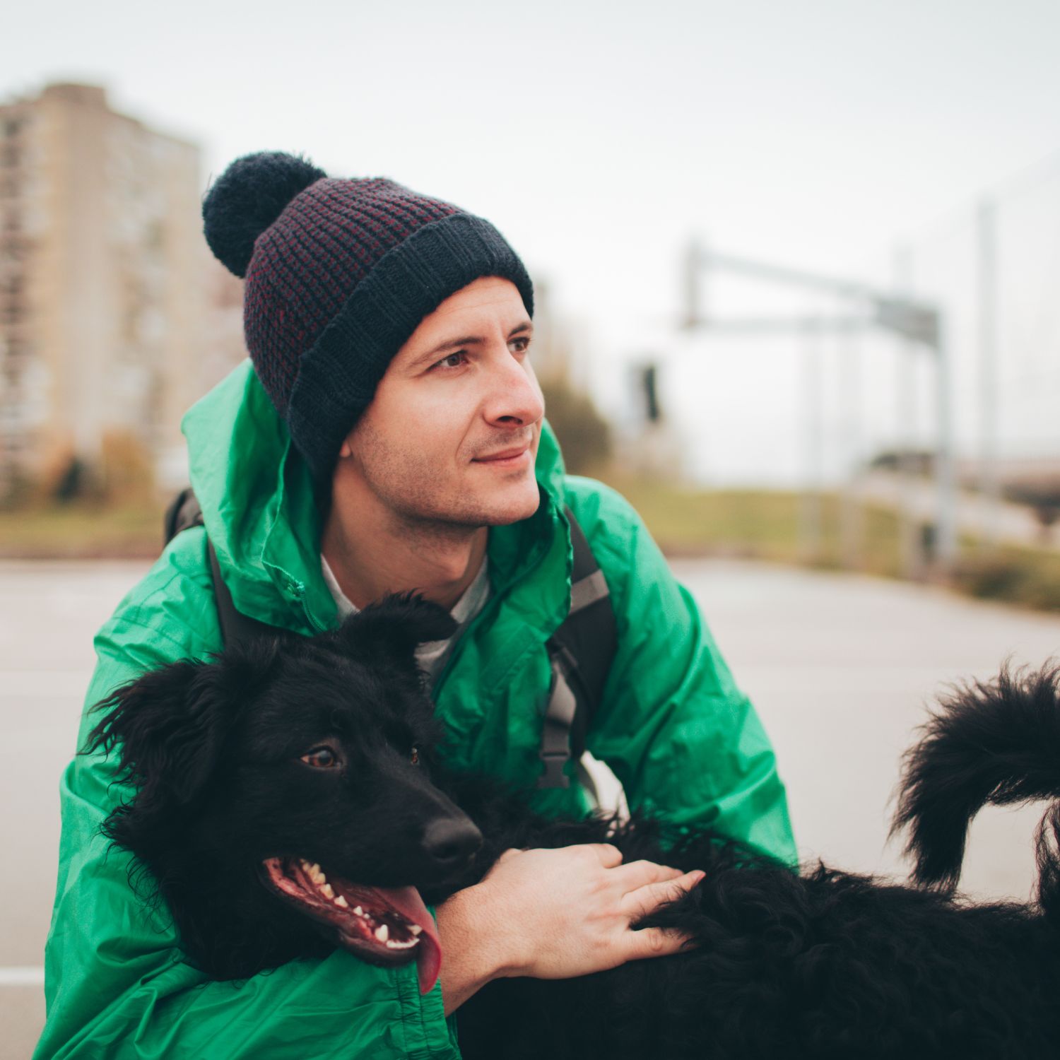 Pet sitters available in Amsterdam - The Capital City. Find trusted dog walkers, pet boarding, and house sitting services.