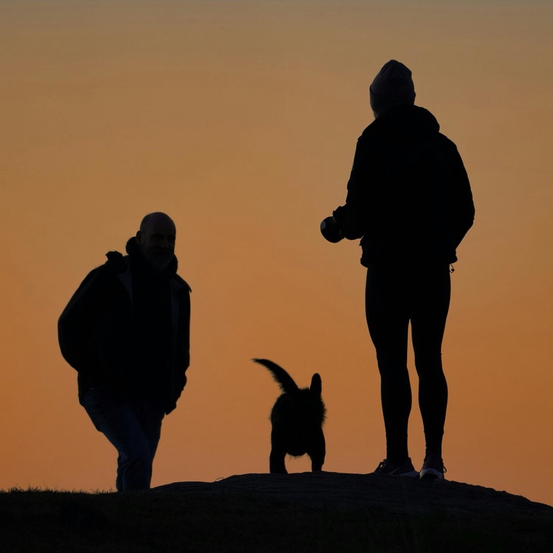 Gardiens d'animaux disponibles à Angers, Pays de la Loire - La Ville Noire et Blanche. Trouvez des promeneurs, pension et garde à domicile.