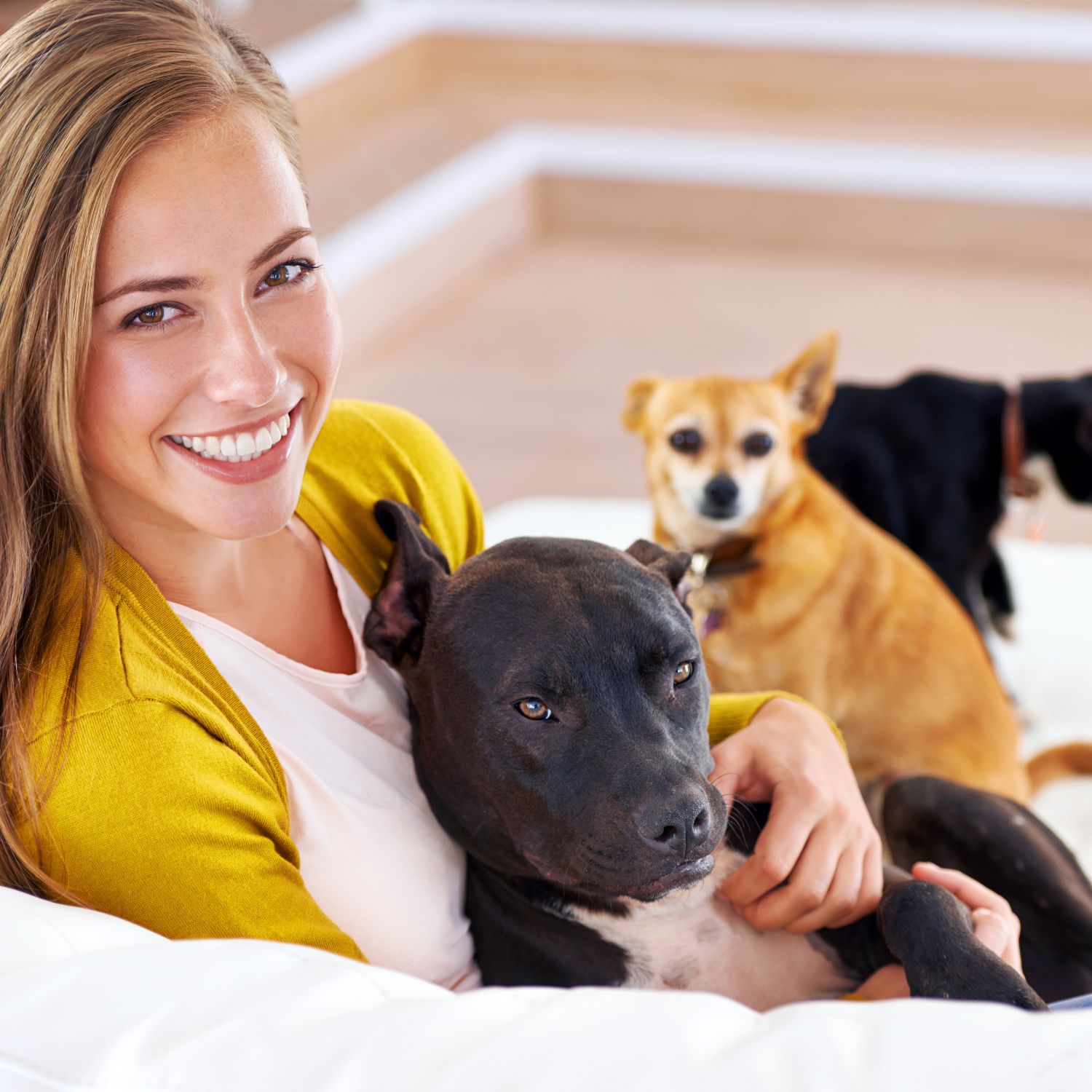 Tierbetreuer verfügbar in Augsburg - Die älteste Stadt Bayerns. Finde Gassi-Service, Tierpension und Hausbetreuung.