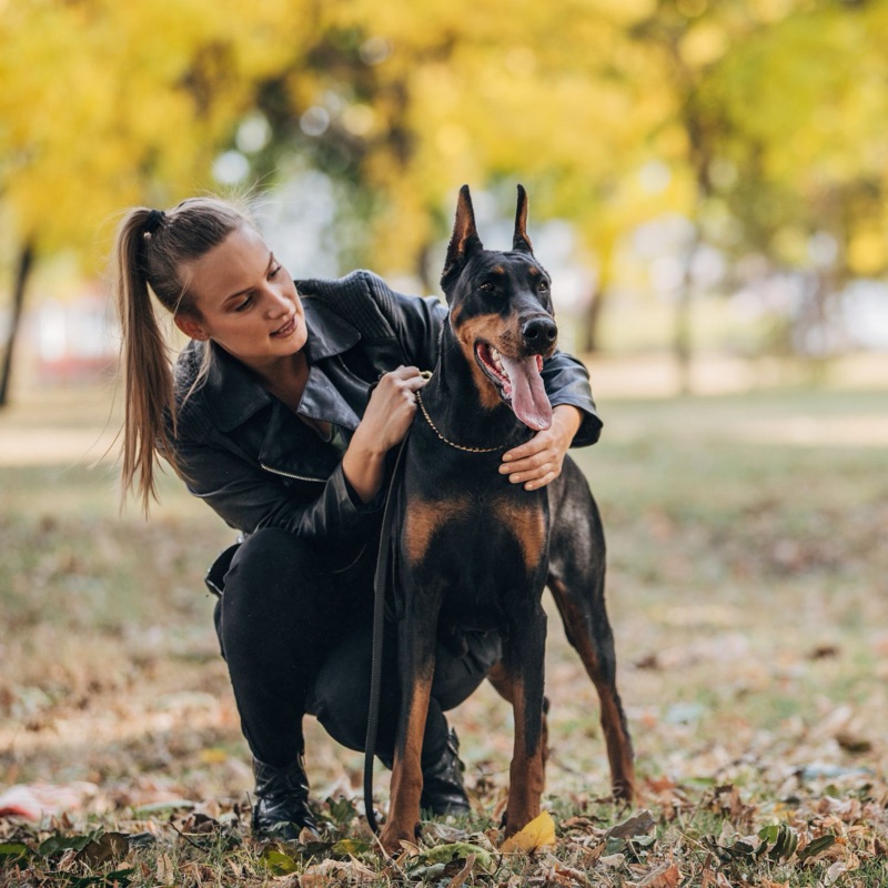 Pet sitters available in Aurora, Colorado - Gateway to the Rockies. Find trusted dog walkers, pet boarding, and house sitting services.
