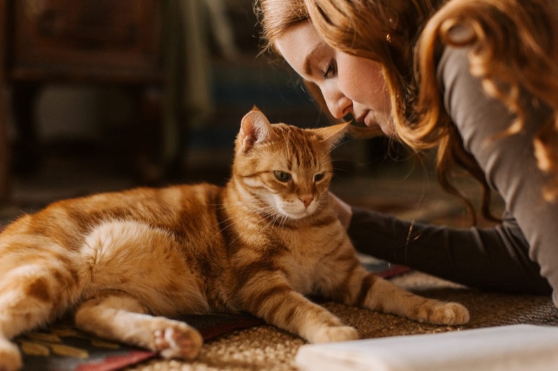 Pet sitters available in Baltimore, Maryland - Charm City. Find trusted dog walkers, pet boarding, and house sitting services.