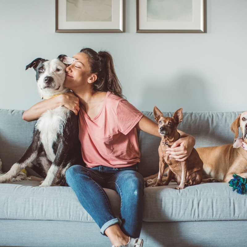Pet sitters available in Baton Rouge, Louisiana - Red Stick City. Find trusted dog walkers, pet boarding, and house sitting services.
