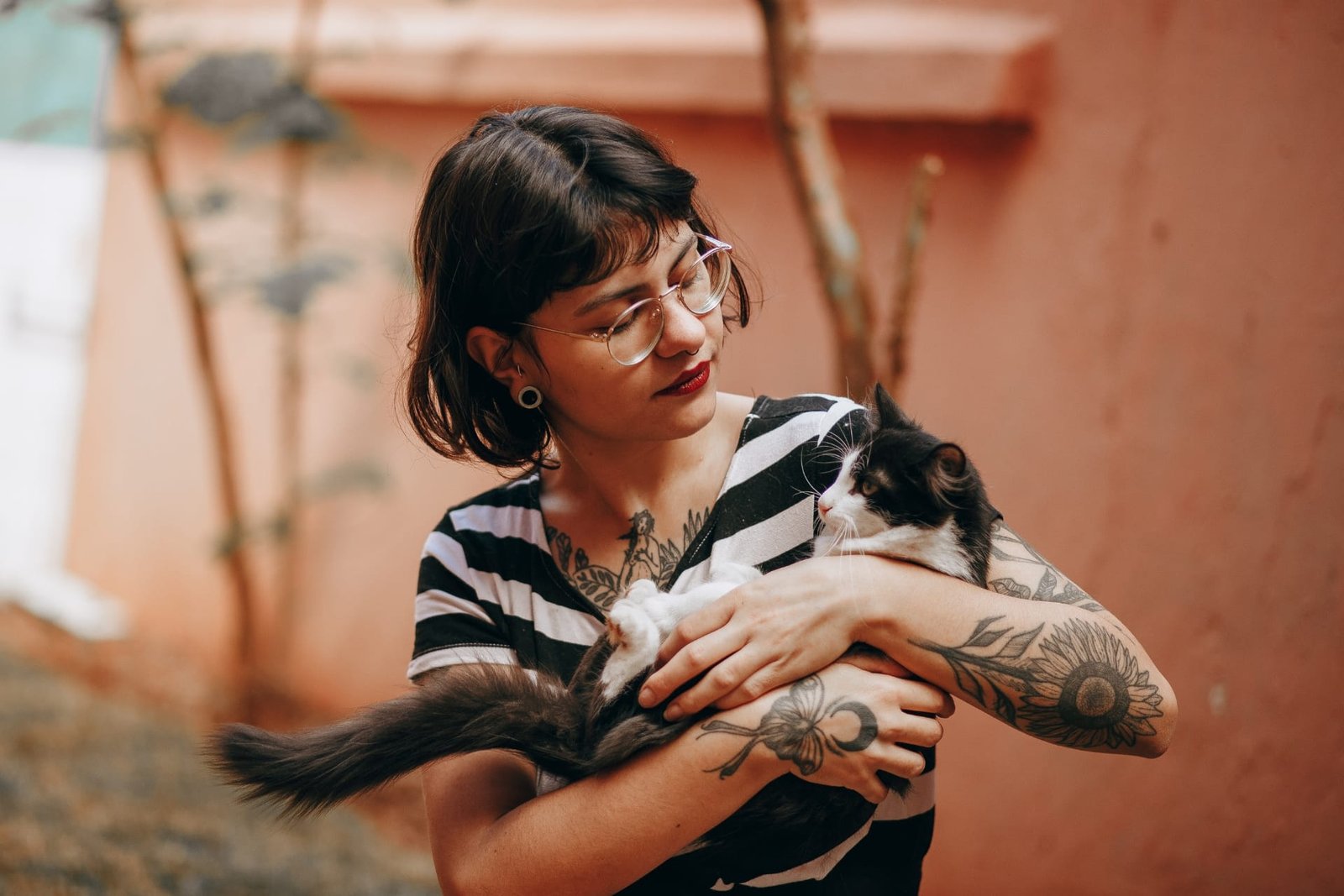 Pet sitters available in Bournemouth, Dorset - Coast & Gardens. Find trusted dog walkers, pet boarding, and house sitting services.