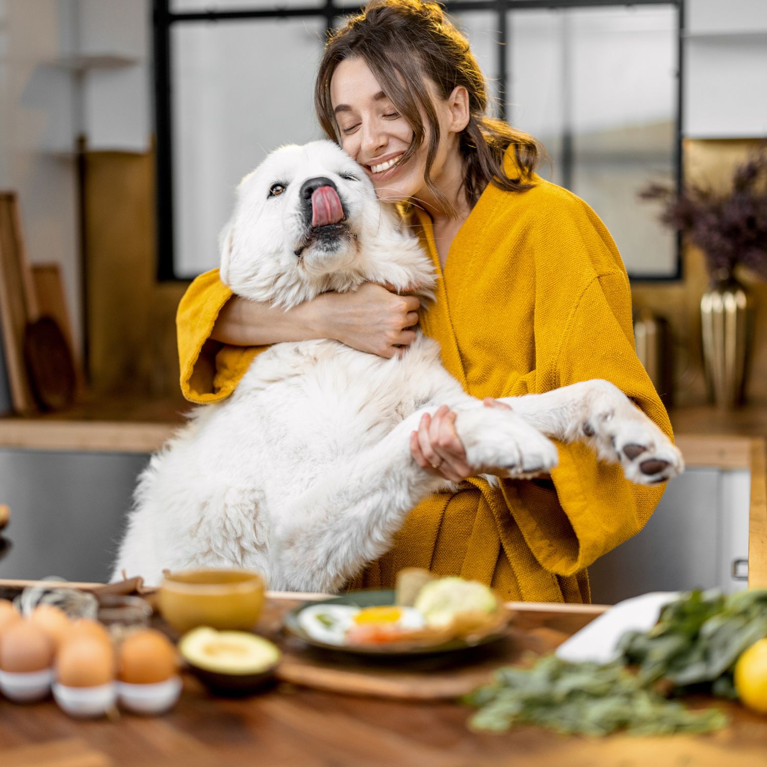 Pet sitters available in Brampton, Ontario - Canada's Flower City. Find trusted dog walkers, pet boarding, and house sitting services.