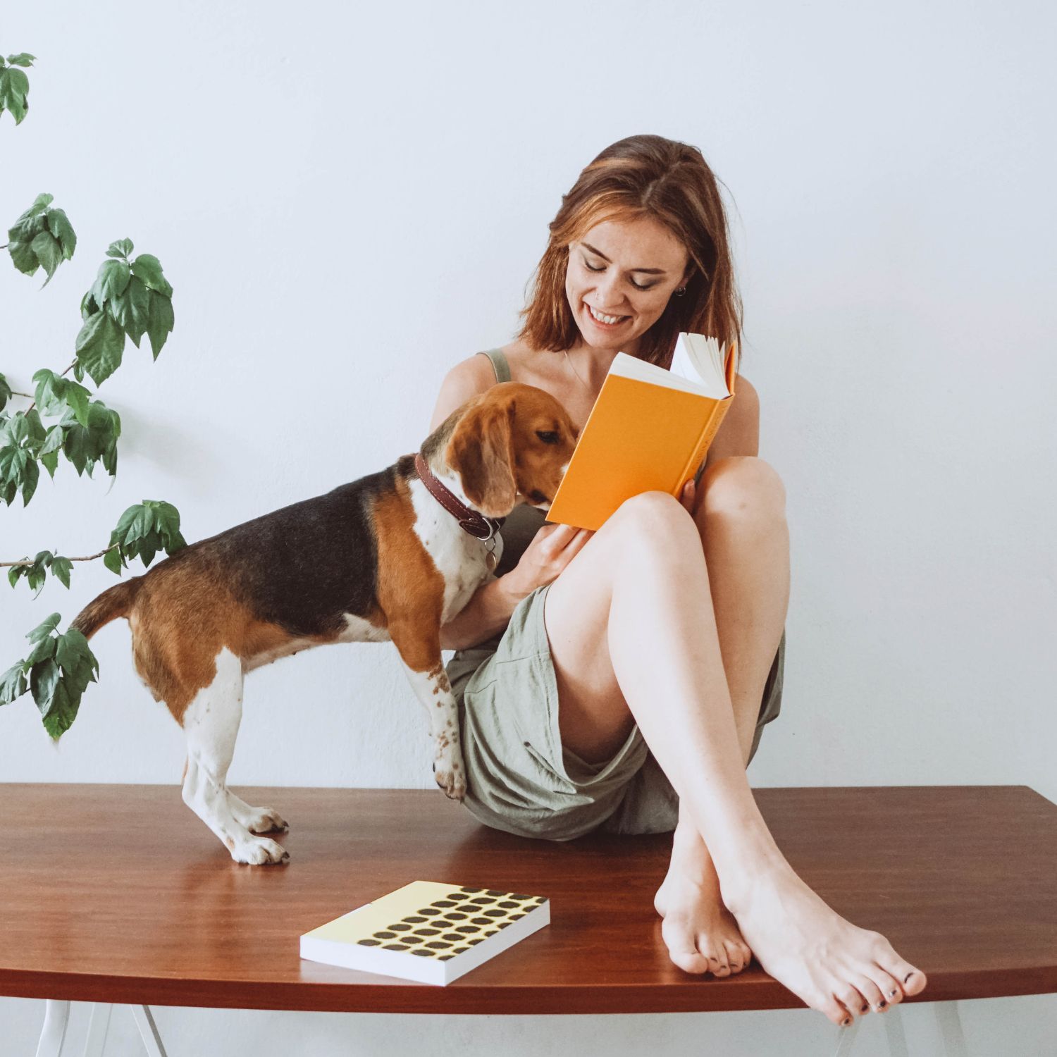 Pet sitters available in Cambridge, Cambridgeshire - Colleges & Green Space. Find trusted dog walkers, pet boarding, and house sitting services.