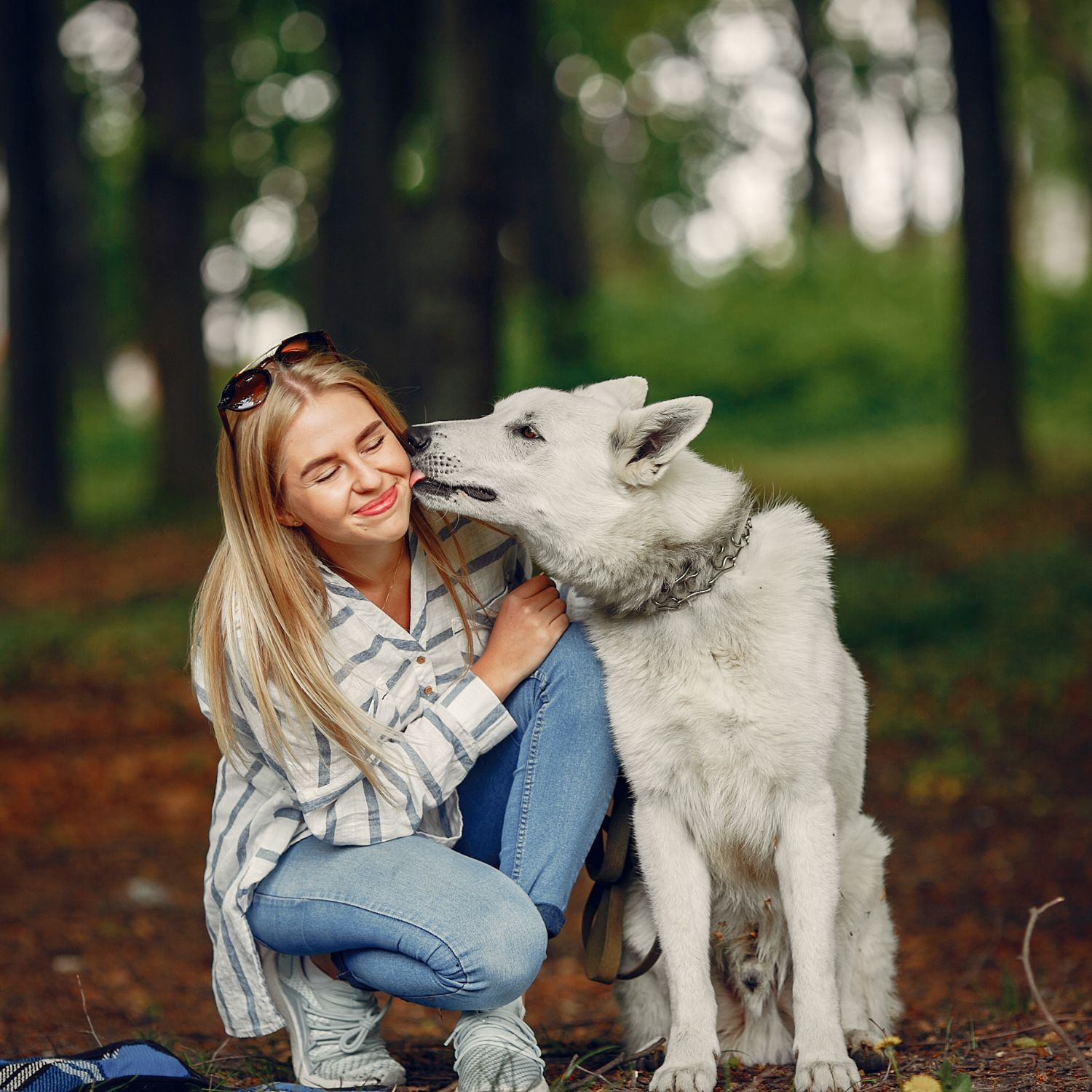 Pet sitters available in Canberra, Australian Capital Territory - The Bush Capital. Find trusted dog walkers, pet boarding, and house sitting services.
