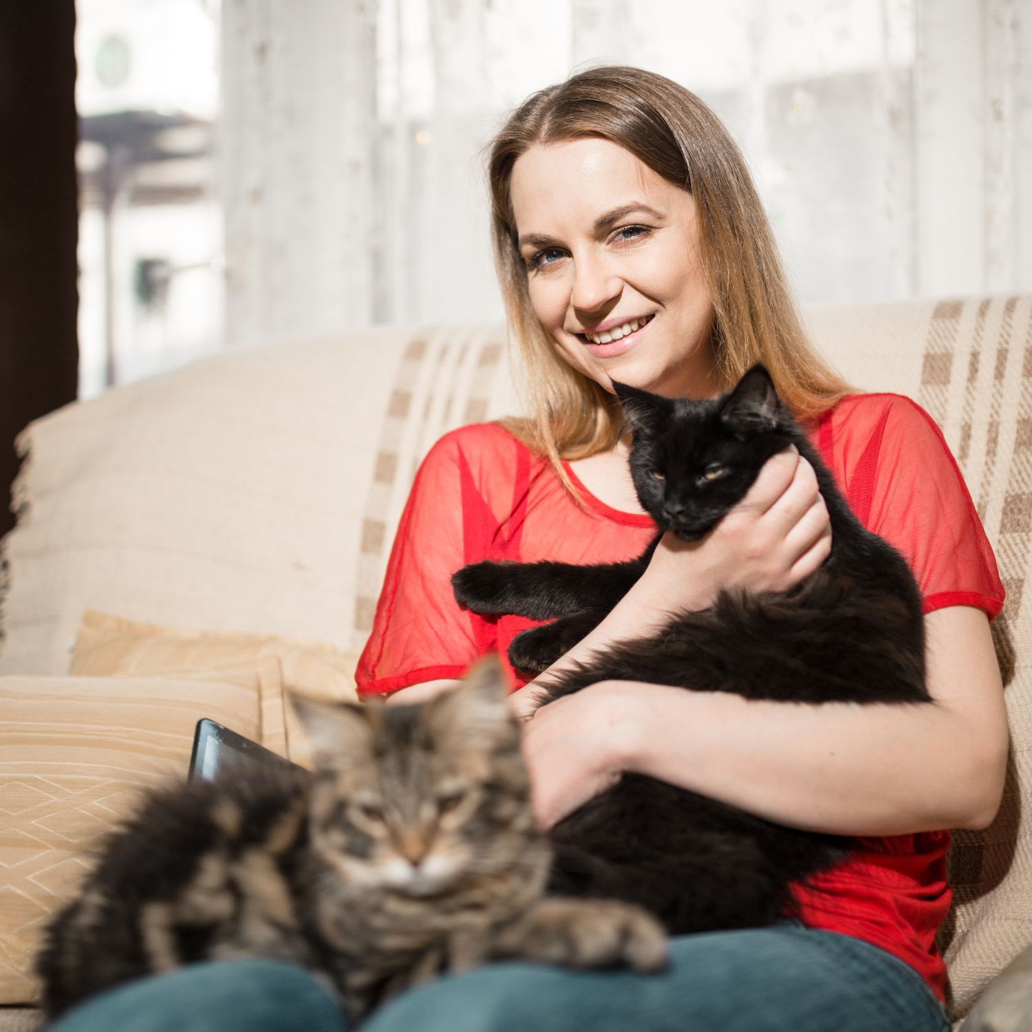 Become a pet sitter