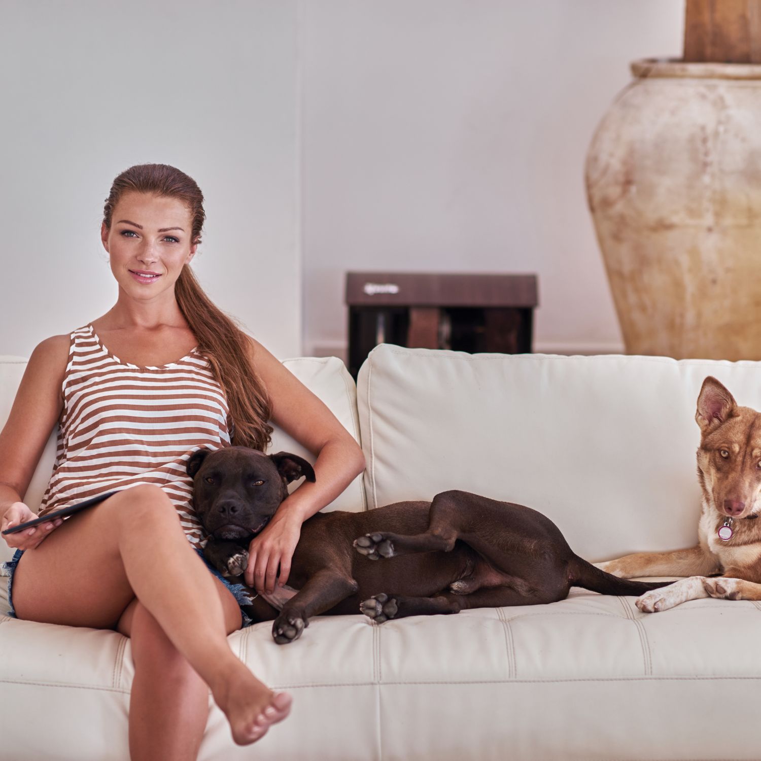 Become a pet sitter
