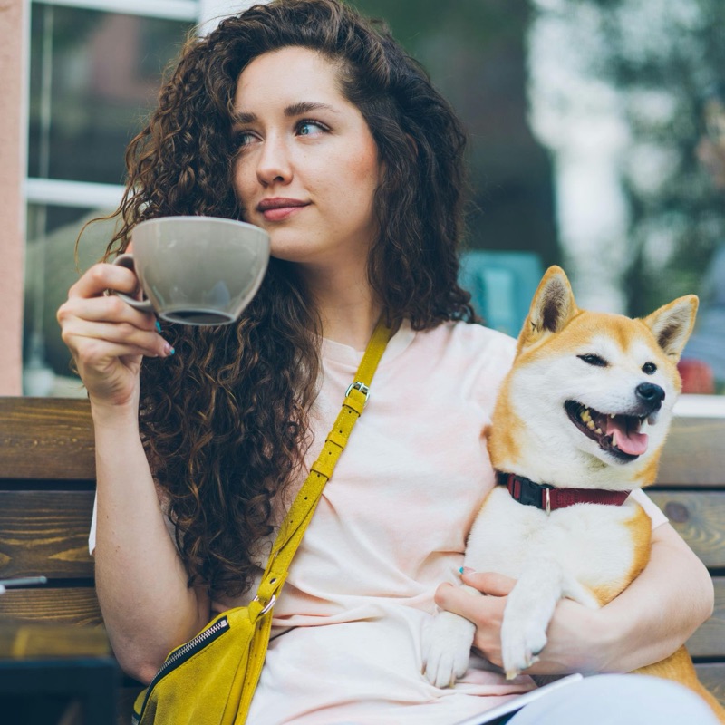 Pet sitters available in Dubai - The City of the Future. Find trusted dog walkers, pet boarding, and house sitting services.