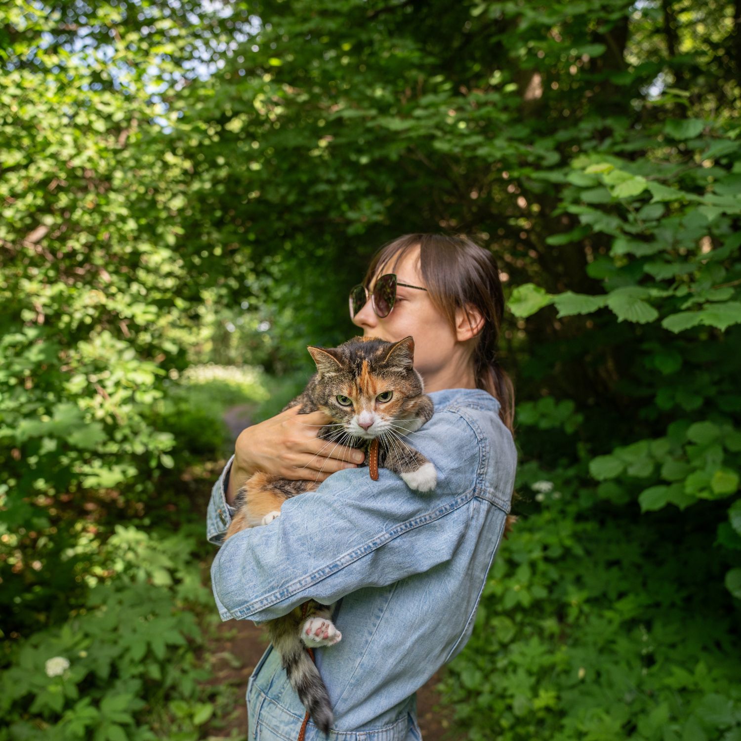 Dog sitters in Edmonton, AB