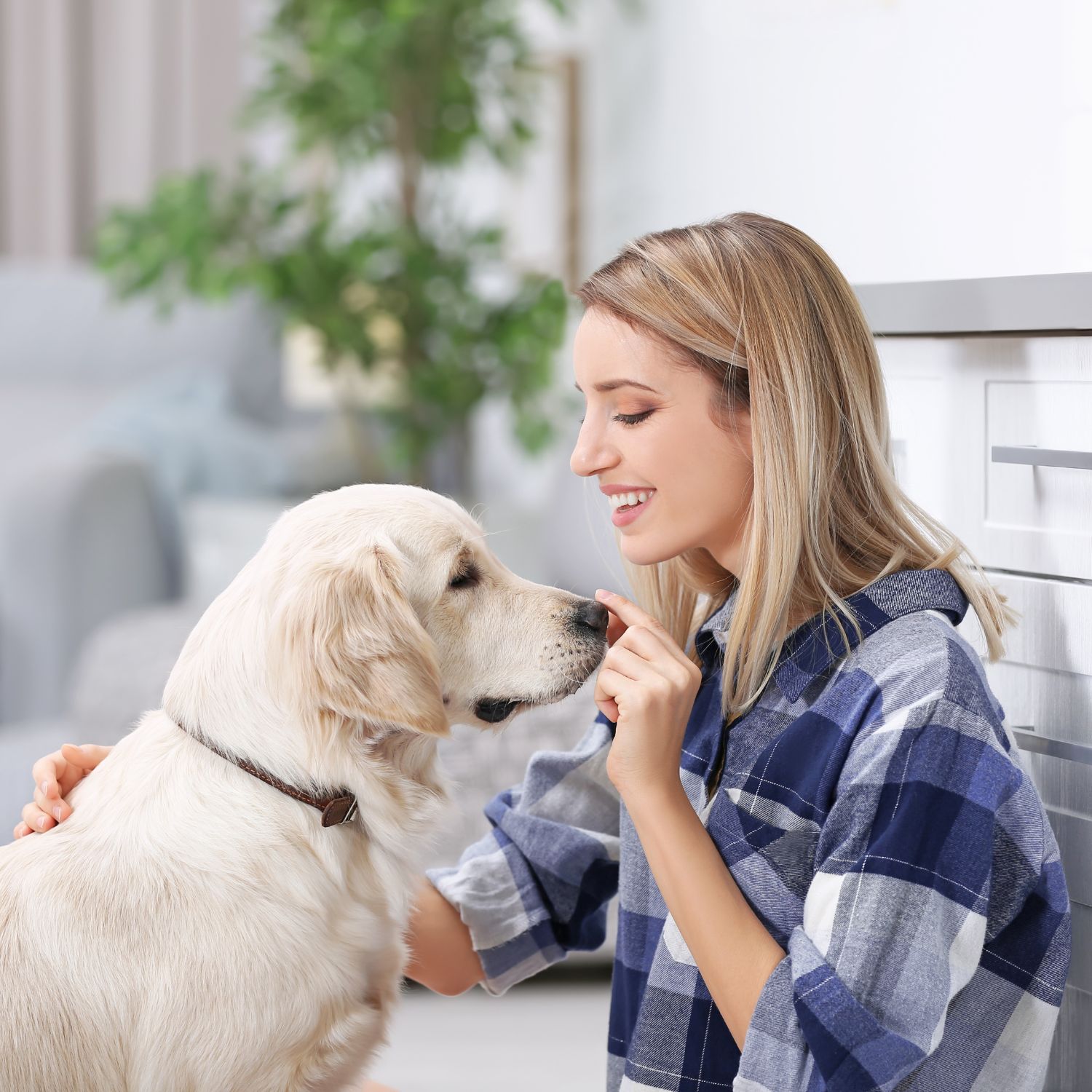 Pet sitters available in Esbjerg, Region of Southern Denmark - Energy Metropolis. Find trusted dog walkers, pet boarding, and house sitting services.