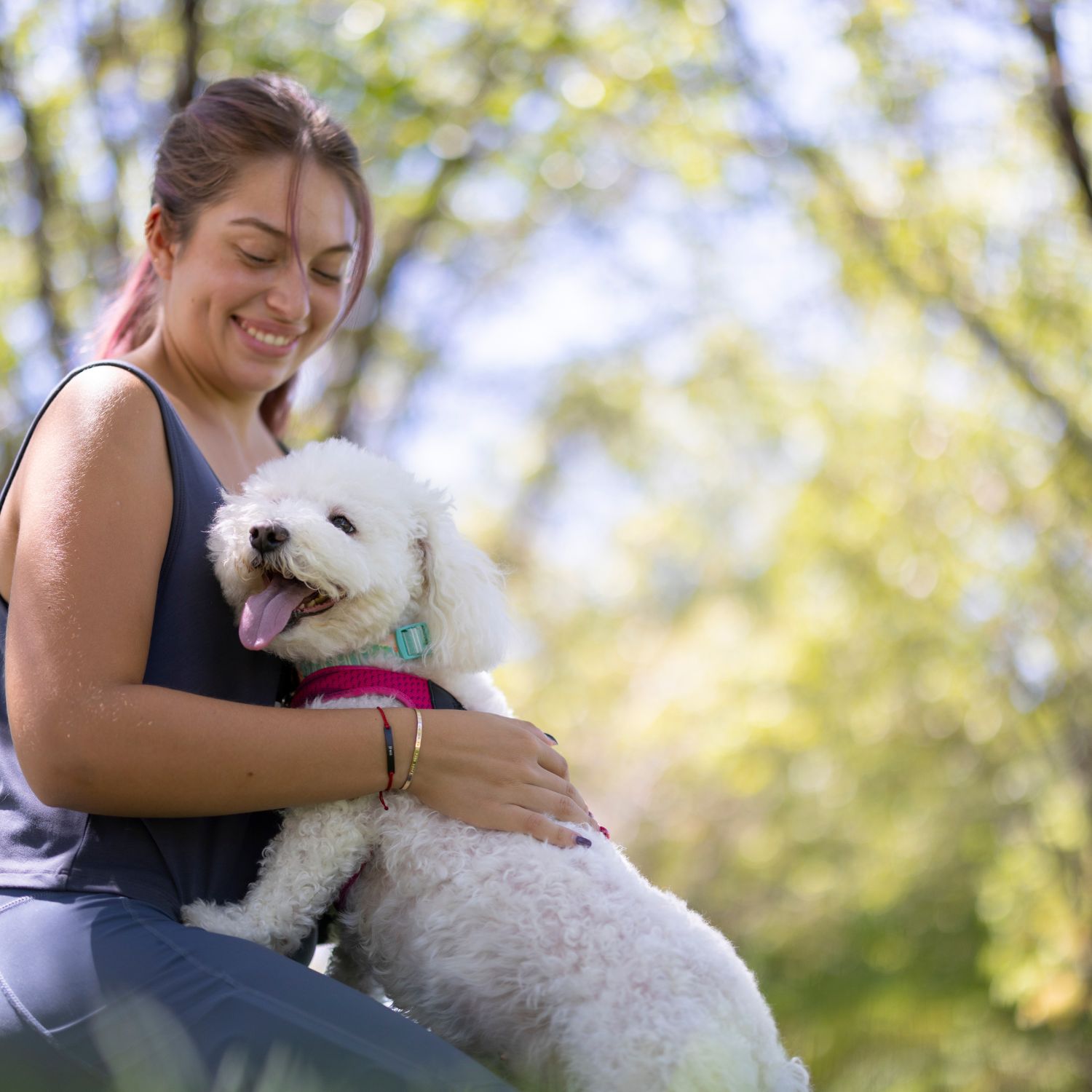 Dog sitter a Firenze, Toscana