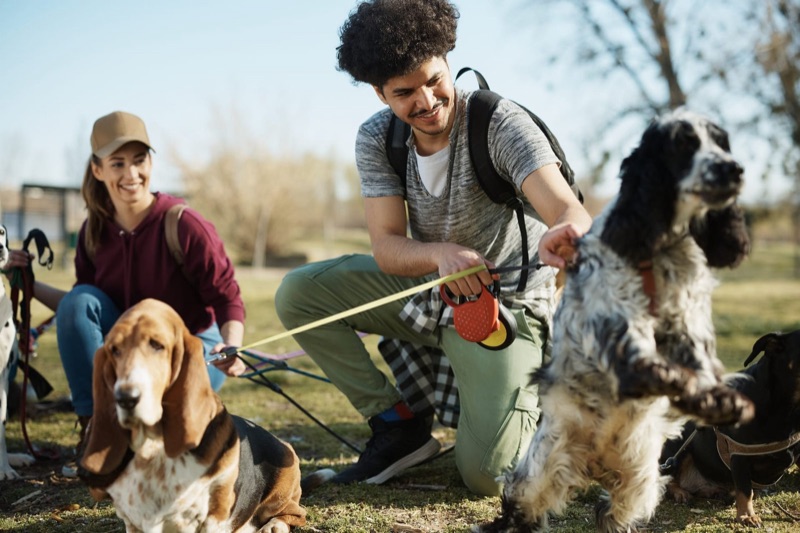 Pet sitters available in Fresno, California - Gateway to Yosemite. Find trusted dog walkers, pet boarding, and house sitting services.