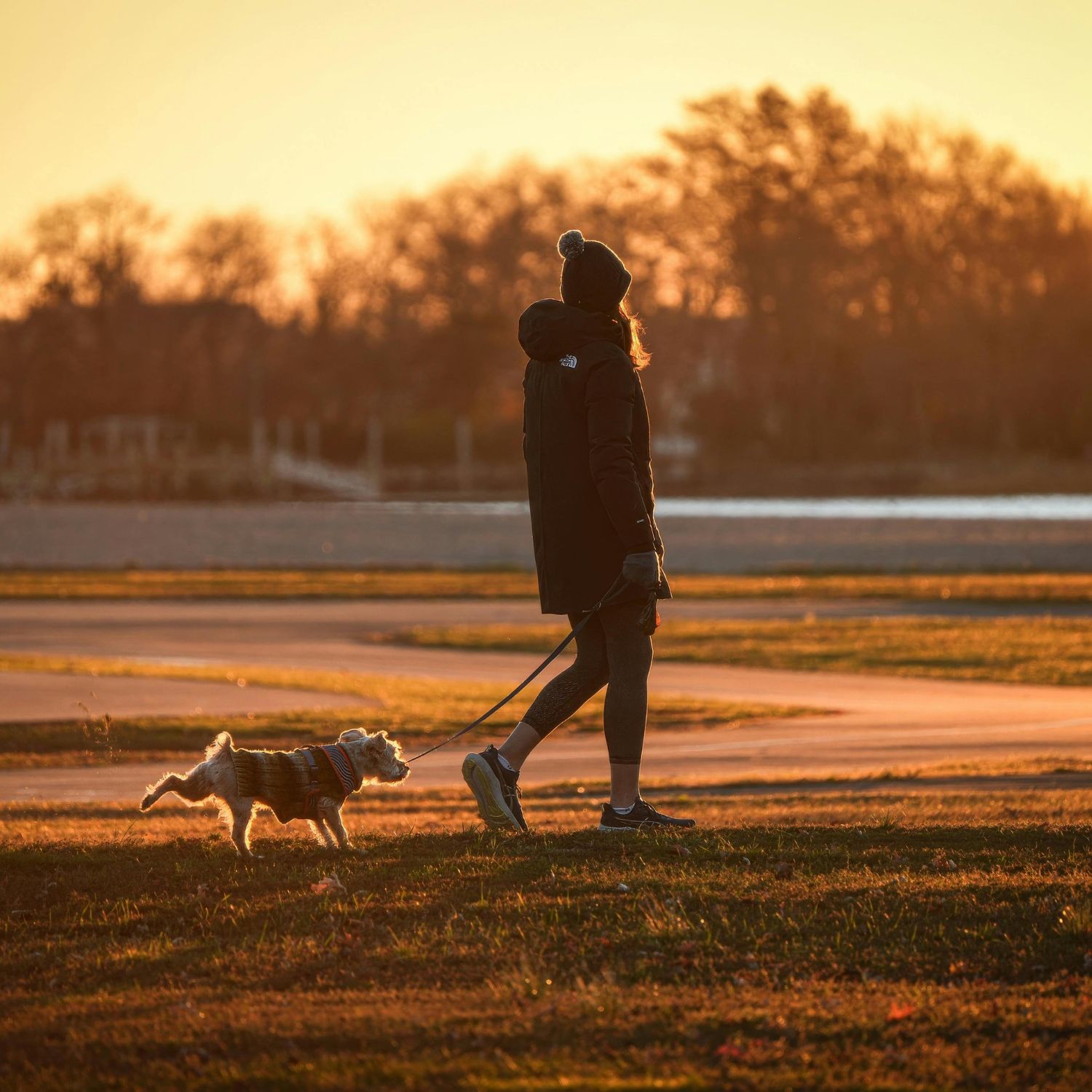 Cuidadores de mascotas disponibles en Gijón, undefined - Capital of the Green Coast. Encuentra paseadores de perros, alojamiento y cuidado en casa.