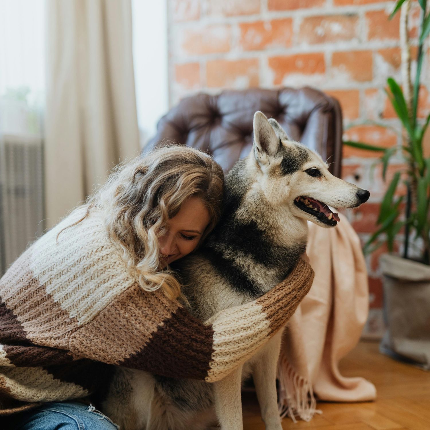 Pet sitters available in Groningen - The Student City. Find trusted dog walkers, pet boarding, and house sitting services.