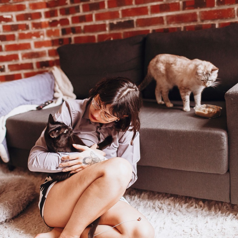 Pet sitters available in Henderson, Nevada - A Place to Call Home. Find trusted dog walkers, pet boarding, and house sitting services.