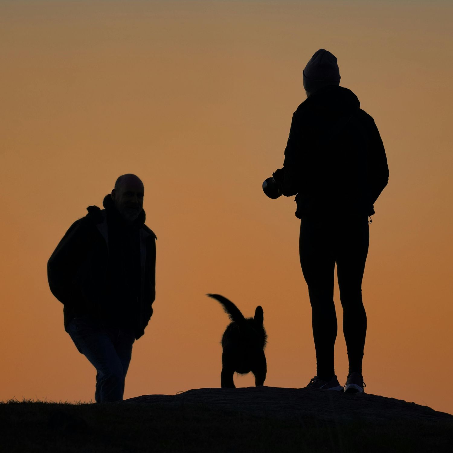 Dog sitters in Hobart, TAS