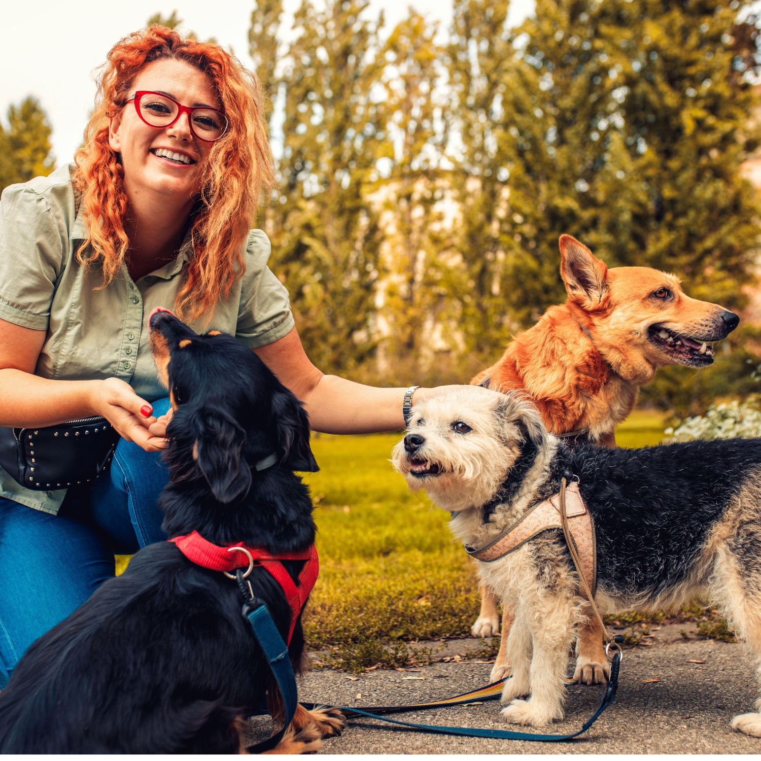 Cuidadores de mascotas disponibles en L'Hospitalet de Llobregat, Cataluña - Segunda Ciudad de Cataluña. Encuentra paseadores de perros, alojamiento y cuidado en casa.