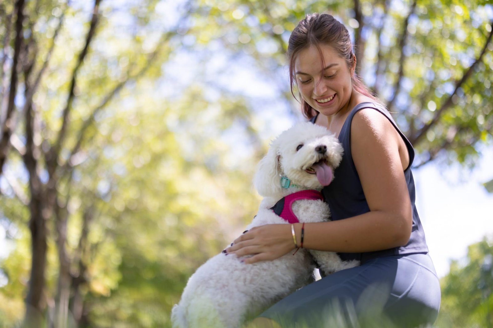 Dog sitters in Houston, TX