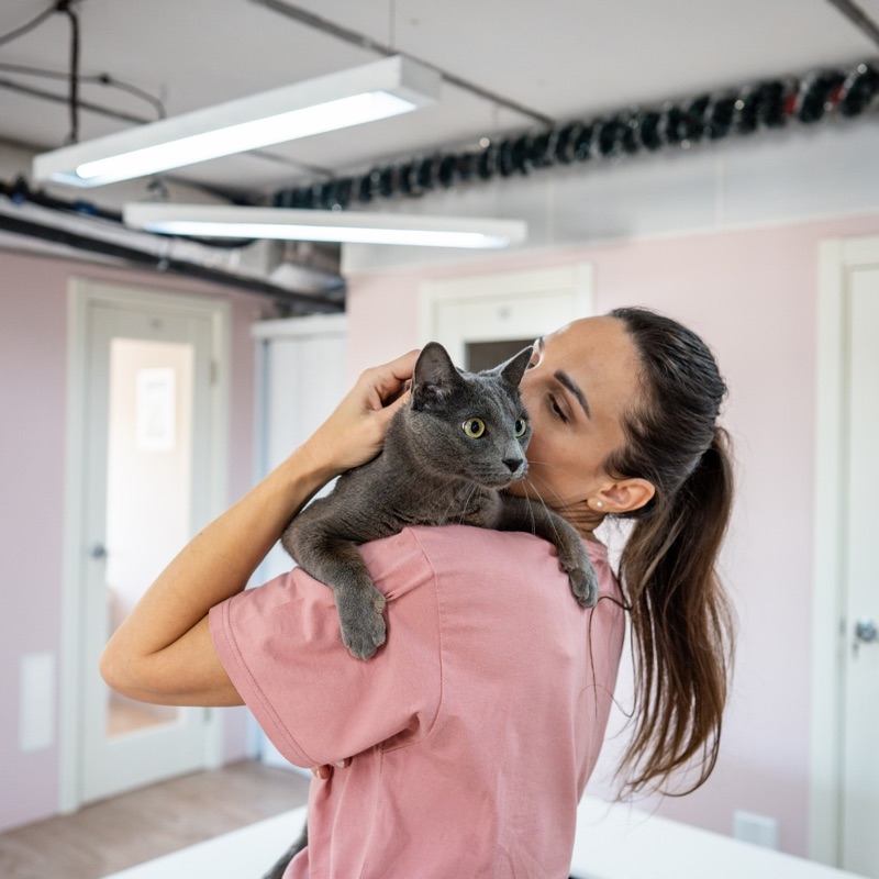 Pet sitters available in Koper - The Venetian Port. Find trusted dog walkers, pet boarding, and house sitting services.