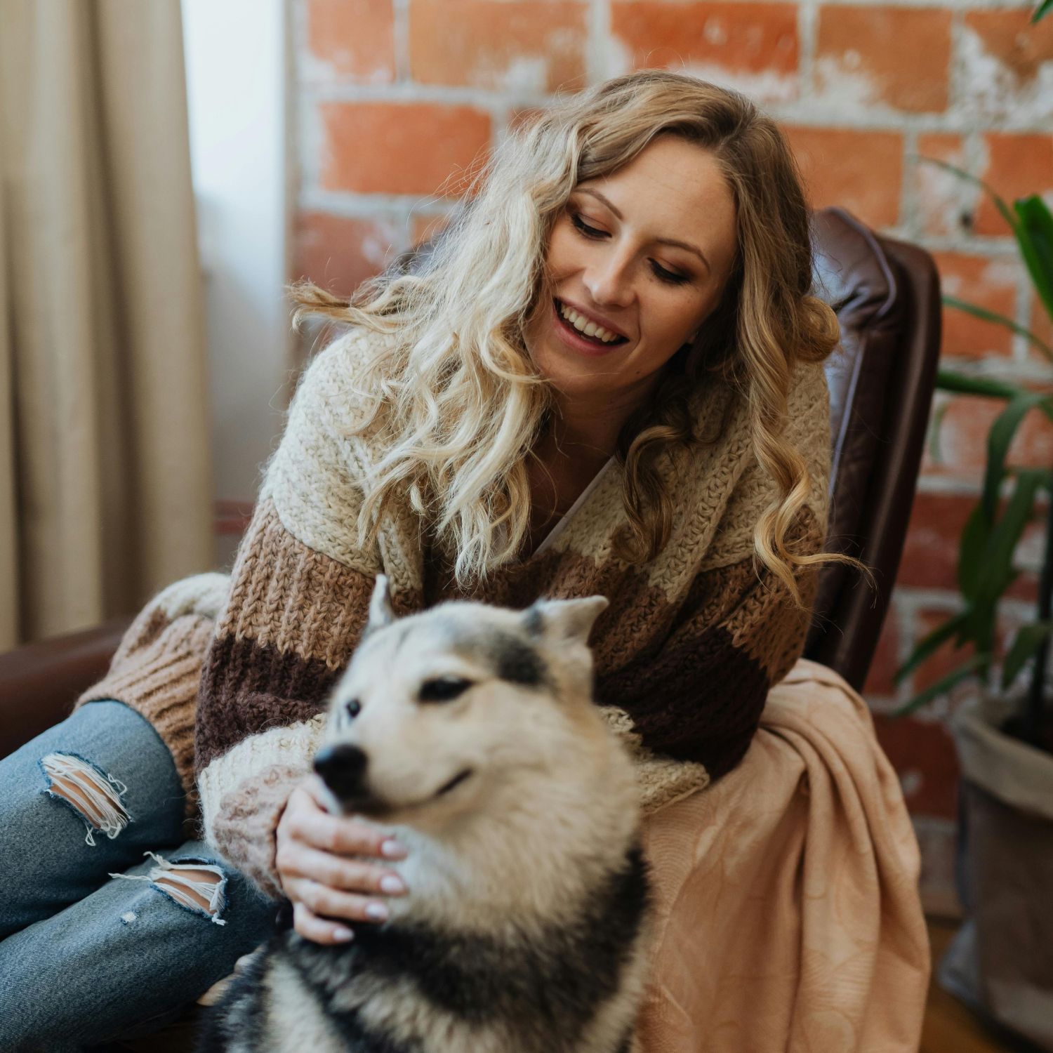 Pet sitters available in Kraków - The Royal Capital. Find trusted dog walkers, pet boarding, and house sitting services.