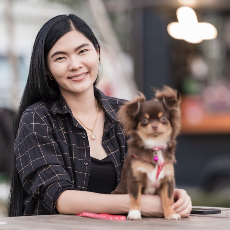 Pet sitters available in Laval, Quebec - Canada's Island City. Find trusted dog walkers, pet boarding, and house sitting services.