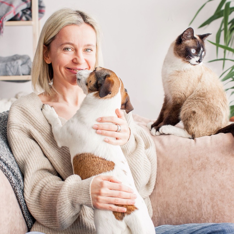 Pet sitters available in Liberec - Gateway to the Jizera Mountains. Find trusted dog walkers, pet boarding, and house sitting services.