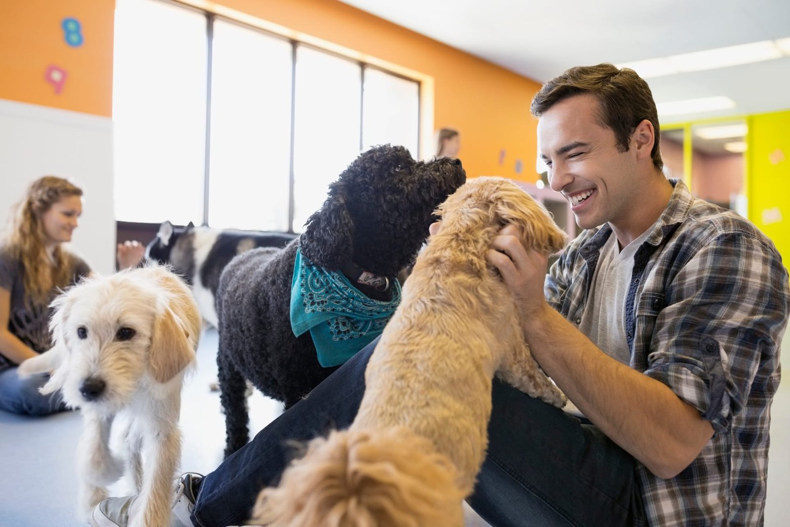 Pet sitters available in Louisville, Kentucky - Derby City. Find trusted dog walkers, pet boarding, and house sitting services.