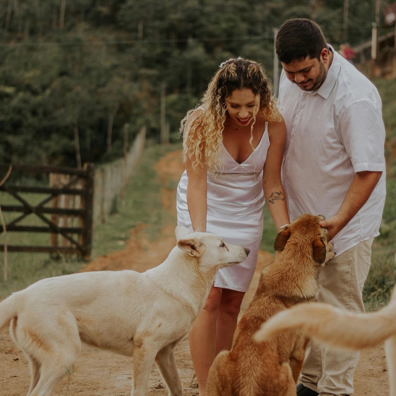 Pet sitters available in Lugano, Ticino - Subtropical Alpine Resort. Find trusted dog walkers, pet boarding, and house sitting services.