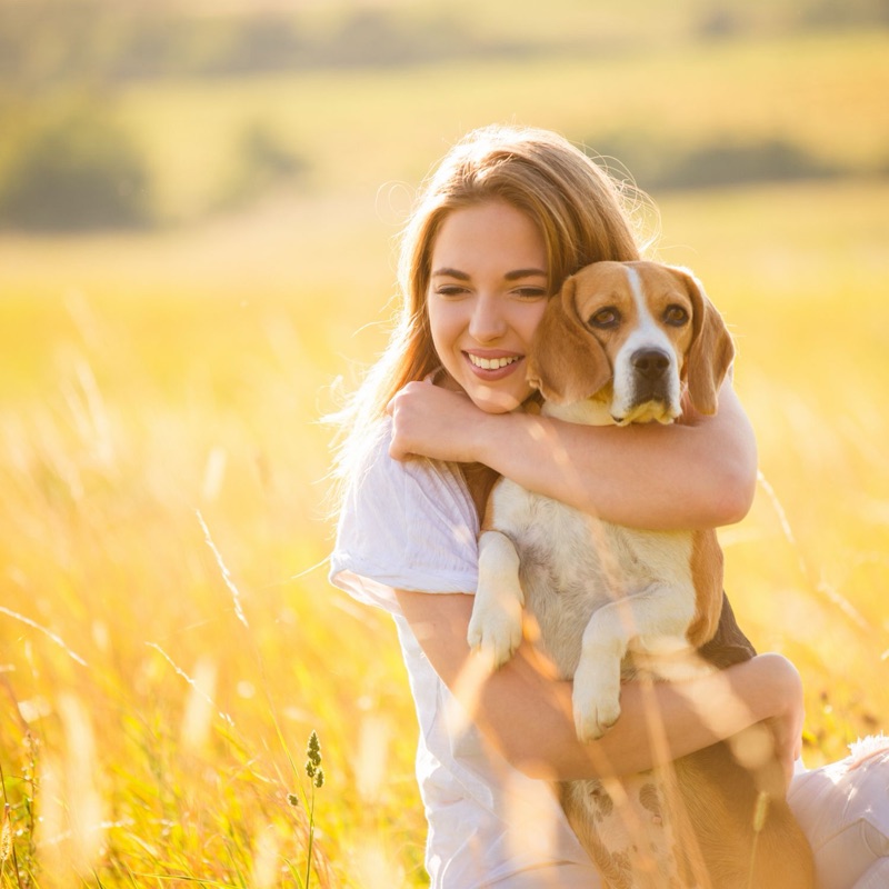 Pet sitters available in Milton Keynes, Buckinghamshire - Planned Parks. Find trusted dog walkers, pet boarding, and house sitting services.