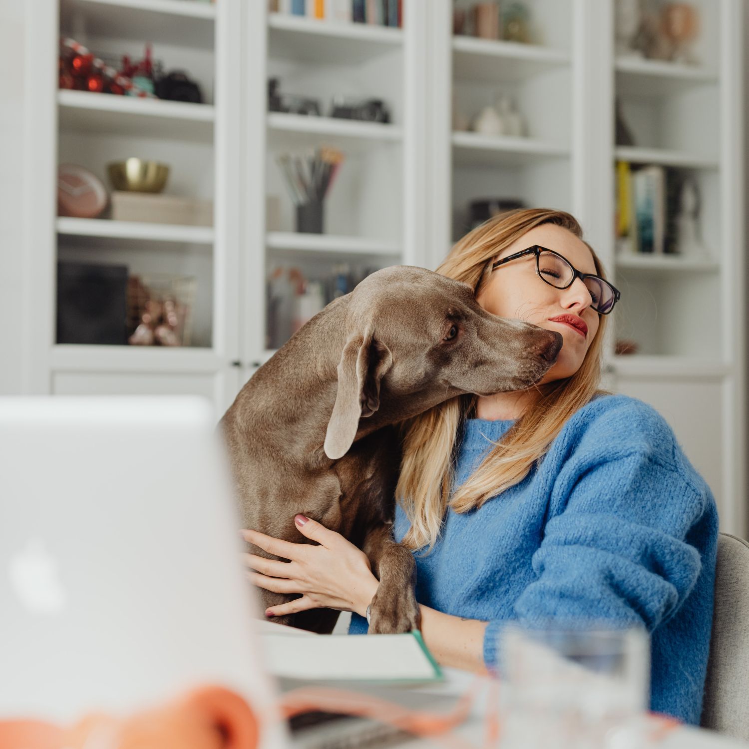 Gardiens d'animaux disponibles à Nantes, Pays de la Loire - La Cité des Ducs. Trouvez des promeneurs, pension et garde à domicile.