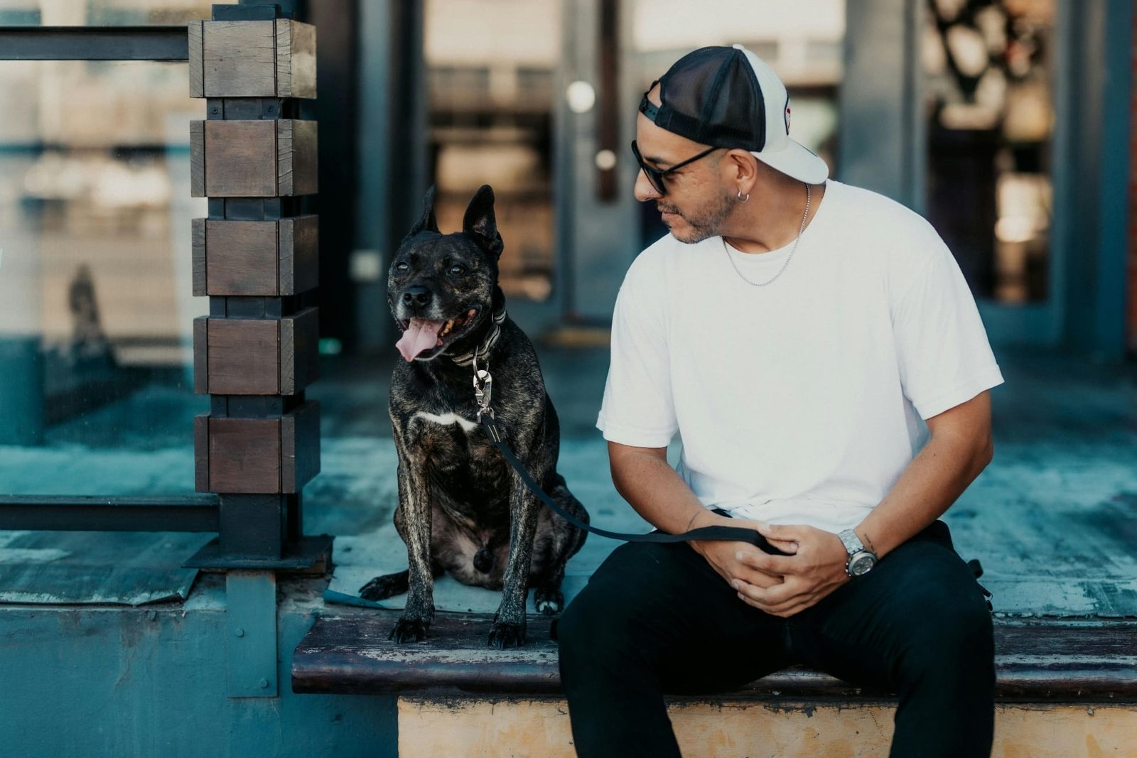 Dog sitters in New York, NY