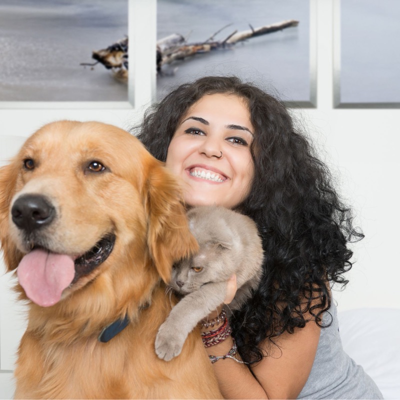 Gardiens d'animaux disponibles à Nîmes, Occitanie - La Rome Française. Trouvez des promeneurs, pension et garde à domicile.