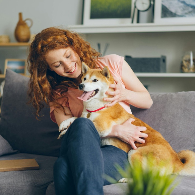 Pet sitters available in Oakland, California - The Town. Find trusted dog walkers, pet boarding, and house sitting services.