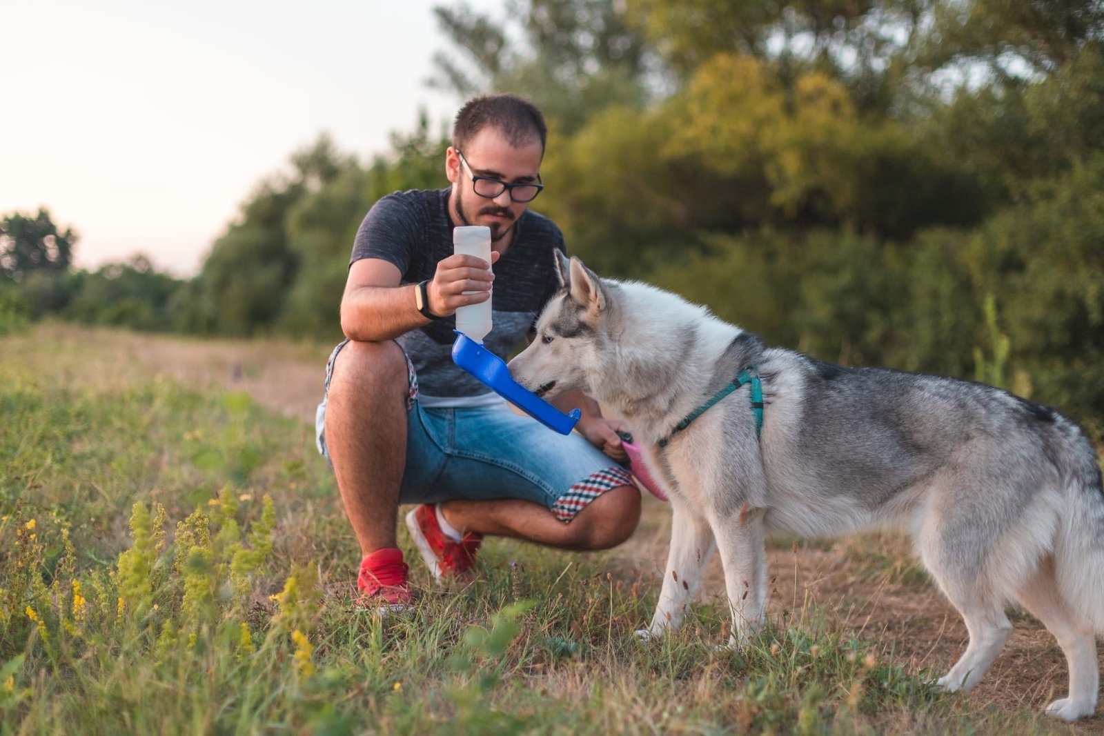 Pet sitters available in Omaha, Nebraska - Gateway to the West. Find trusted dog walkers, pet boarding, and house sitting services.