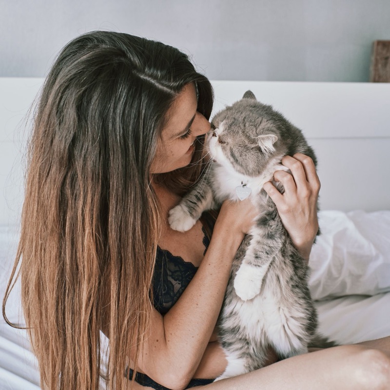 Cuidadores de mascotas disponibles en Pamplona, Navarra - Ciudad de los Sanfermines. Encuentra paseadores de perros, alojamiento y cuidado en casa.