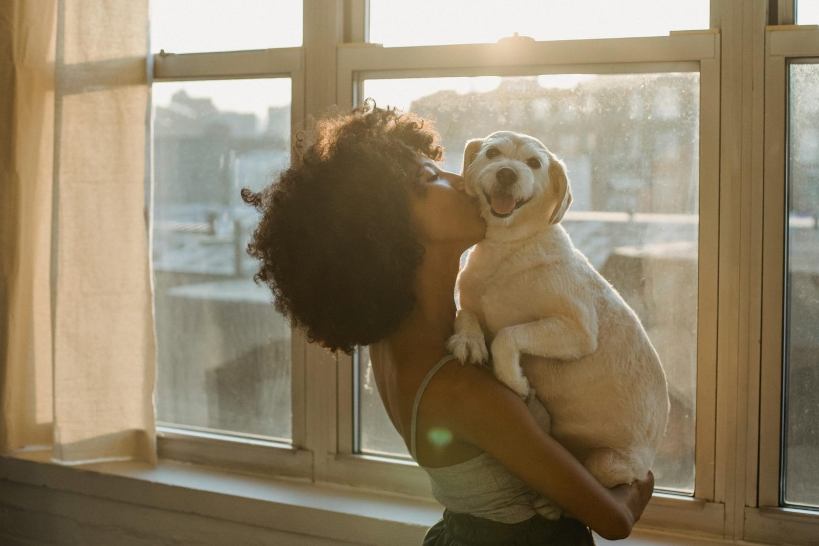 Pet sitters available in Philadelphia, Pennsylvania - City of Brotherly Love. Find trusted dog walkers, pet boarding, and house sitting services.