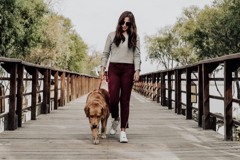 Pet sitters available in Pittsburgh, Pennsylvania - Steel City. Find trusted dog walkers, pet boarding, and house sitting services.