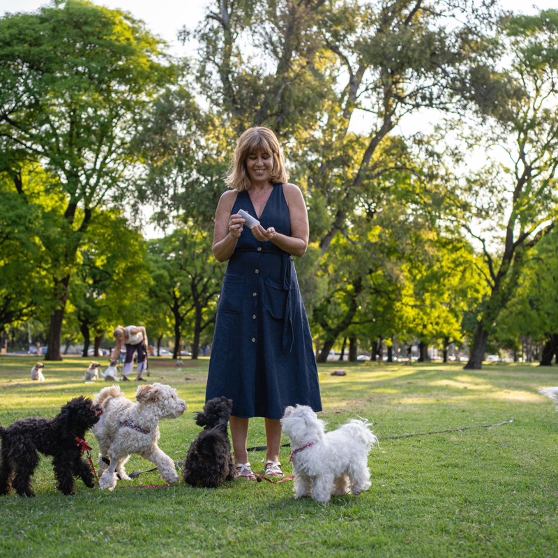 Pet sitters available in Providence, Rhode Island - The Creative Capital. Find trusted dog walkers, pet boarding, and house sitting services.