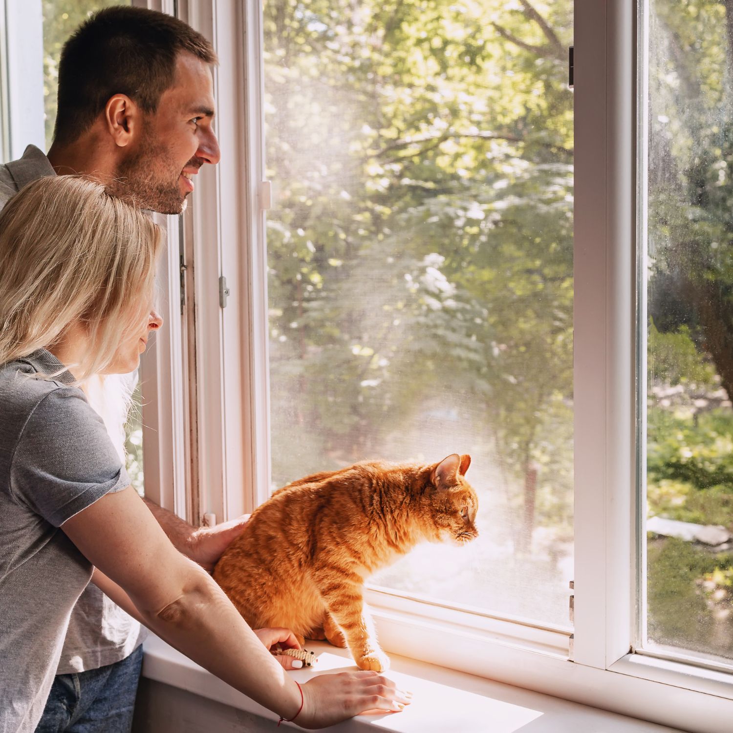 Dog sitters in Quebec City, QC