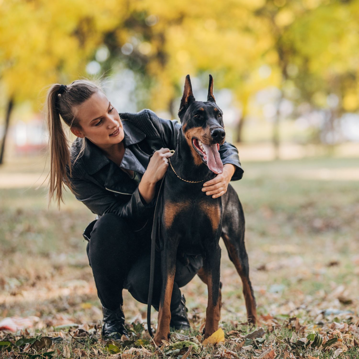 Pet sitters available in Randers, Central Denmark Region - Where the Water Meets. Find trusted dog walkers, pet boarding, and house sitting services.