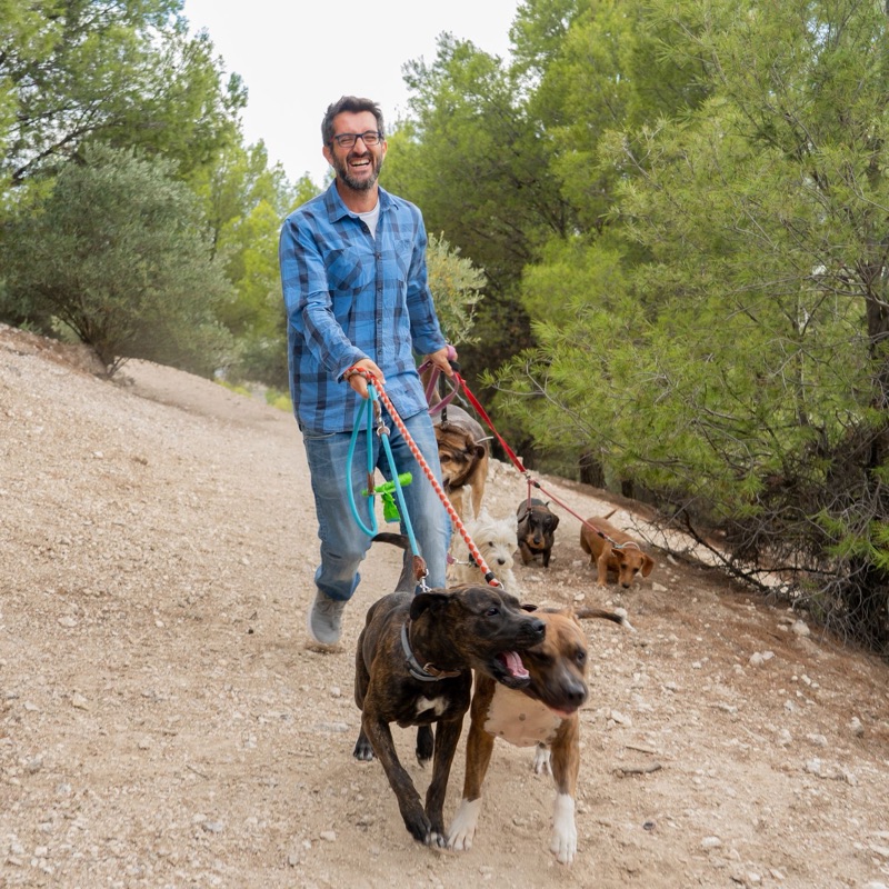 Pet sitters available in Riga - The Art Nouveau Capital. Find trusted dog walkers, pet boarding, and house sitting services.