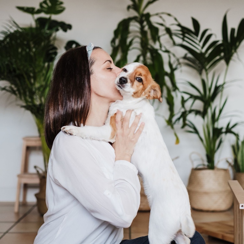 Gardiens d'animaux disponibles à Saint-Étienne, Auvergne-Rhône-Alpes - Ville du Design. Trouvez des promeneurs, pension et garde à domicile.
