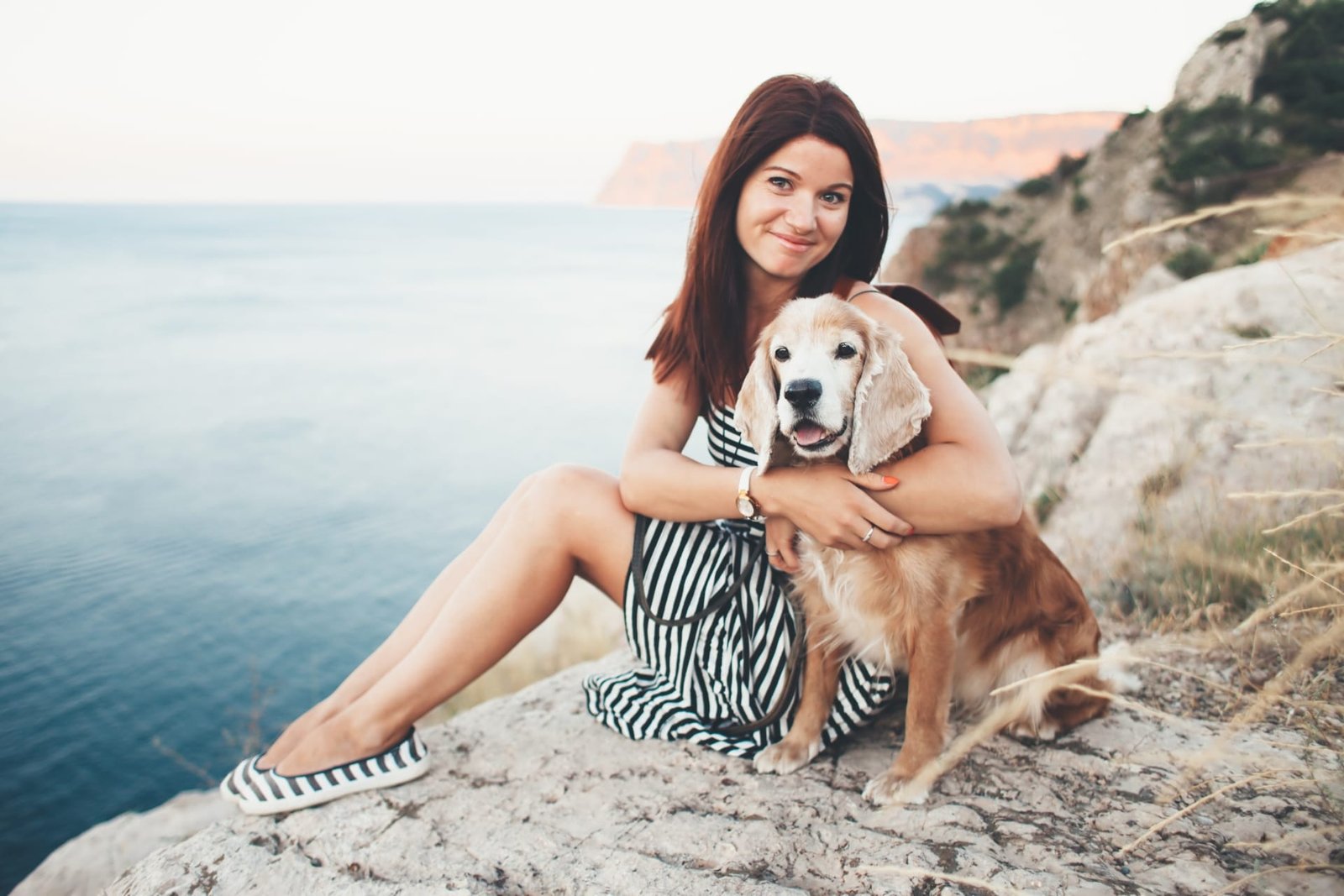 Pet sitters available in San Jose, California - Capital of Silicon Valley. Find trusted dog walkers, pet boarding, and house sitting services.