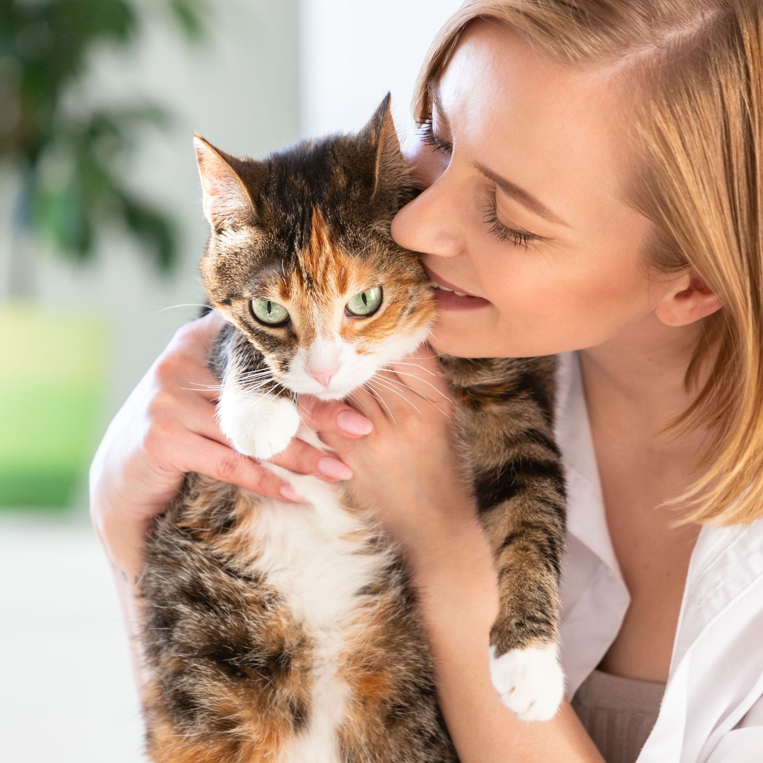 Become a pet sitter