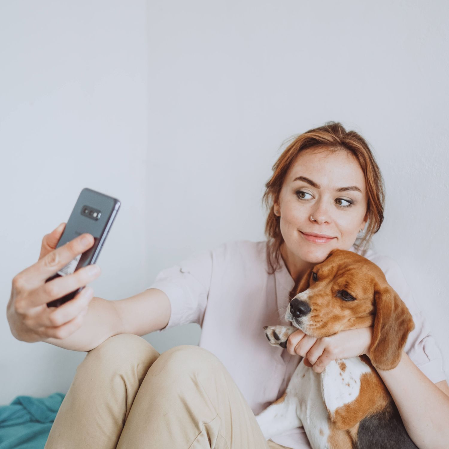 Dog sitters in Sheffield, South Yorkshire